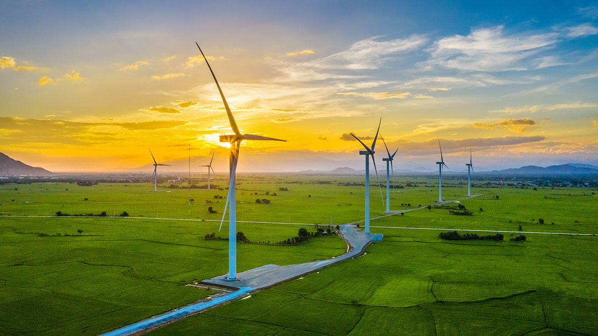 Environmental stewardship